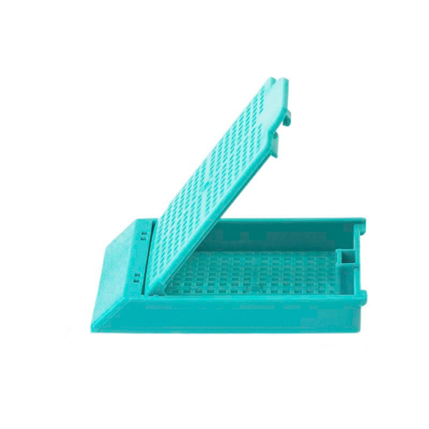 Loose Boxed Histosette II Biopsy Cassettes