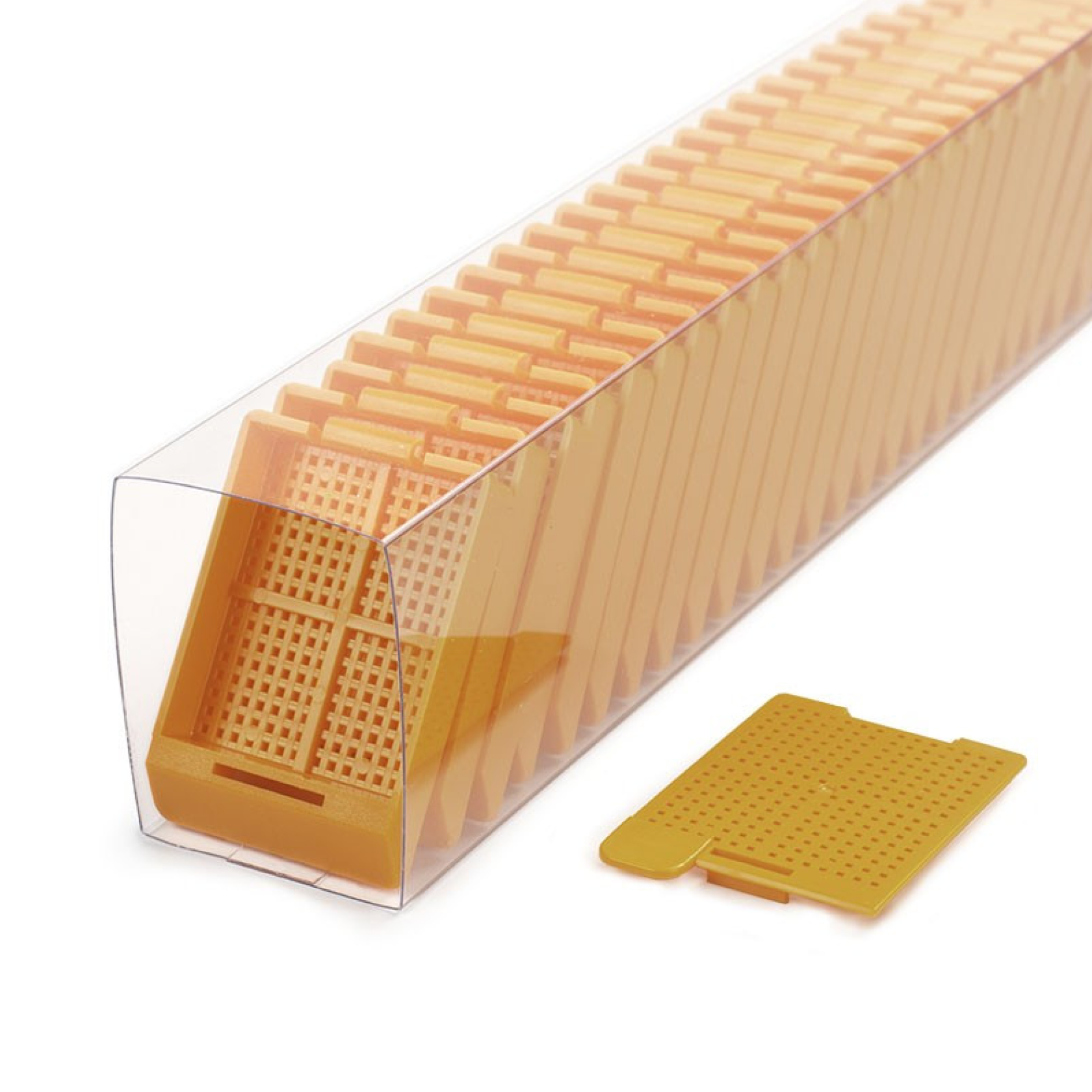 Swingsette Tissue Cassettes for Leica IPC