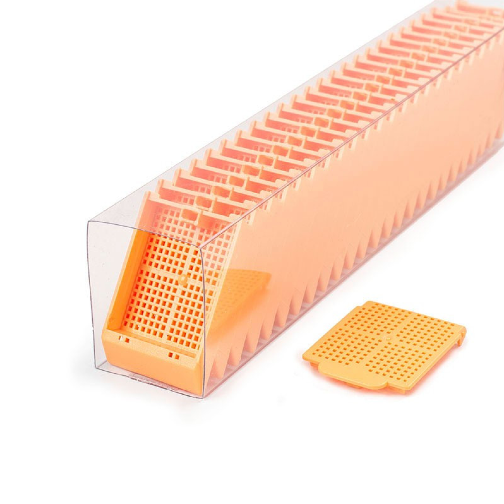 Histosette II Biopsy Cassettes for Thermo Printmate
