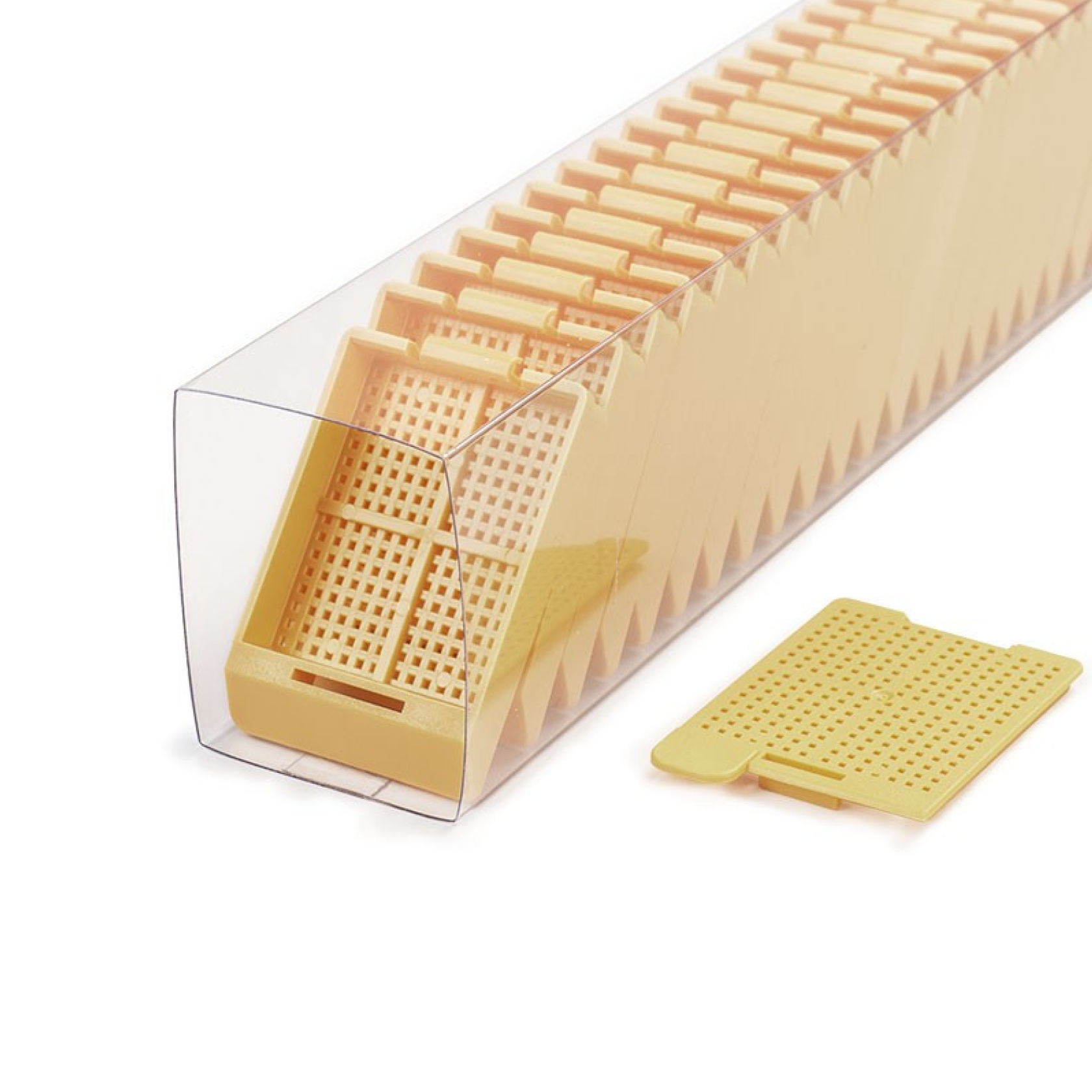 Swingsette Tissue Cassettes for Leica IPC