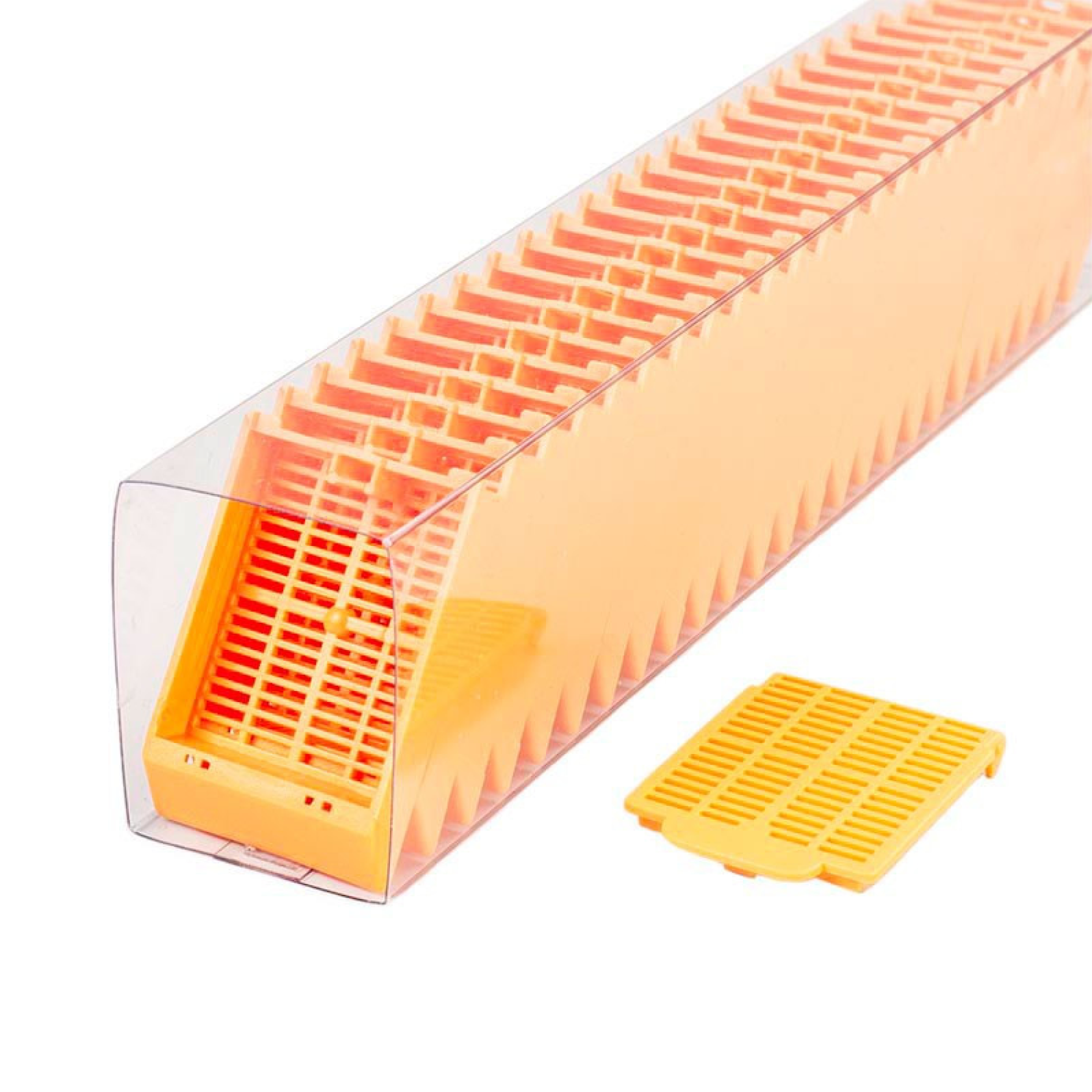 Histosette II Tissue Cassettes for Thermo Printmate