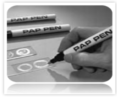 PAP Pen (Each)
